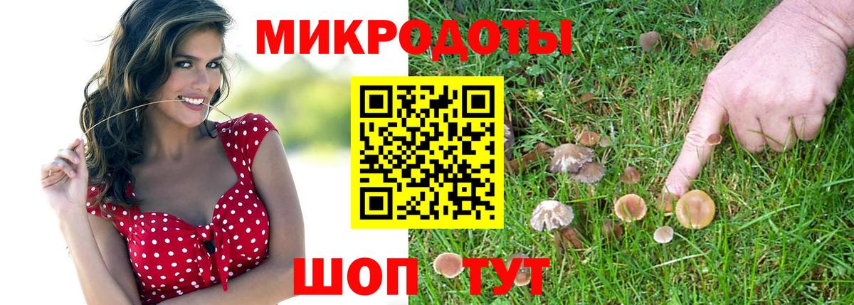 Псилоцибиновые грибы GOLDEN TEACHER Кинель